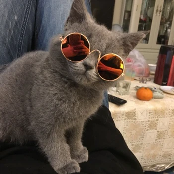 Солнцезащитные очки для кошек Солнцезащитные очки для домашних животных Очки для маленьких собак Классические Ретро Круглые очки Реквизит для фотографий Костюмы Косплеи Прямая поставка